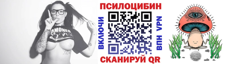 Псилоцибиновые грибы Cubensis  Купить закладки  Мончегорск 