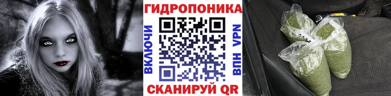 Канабис семена  Купить  Мончегорск 